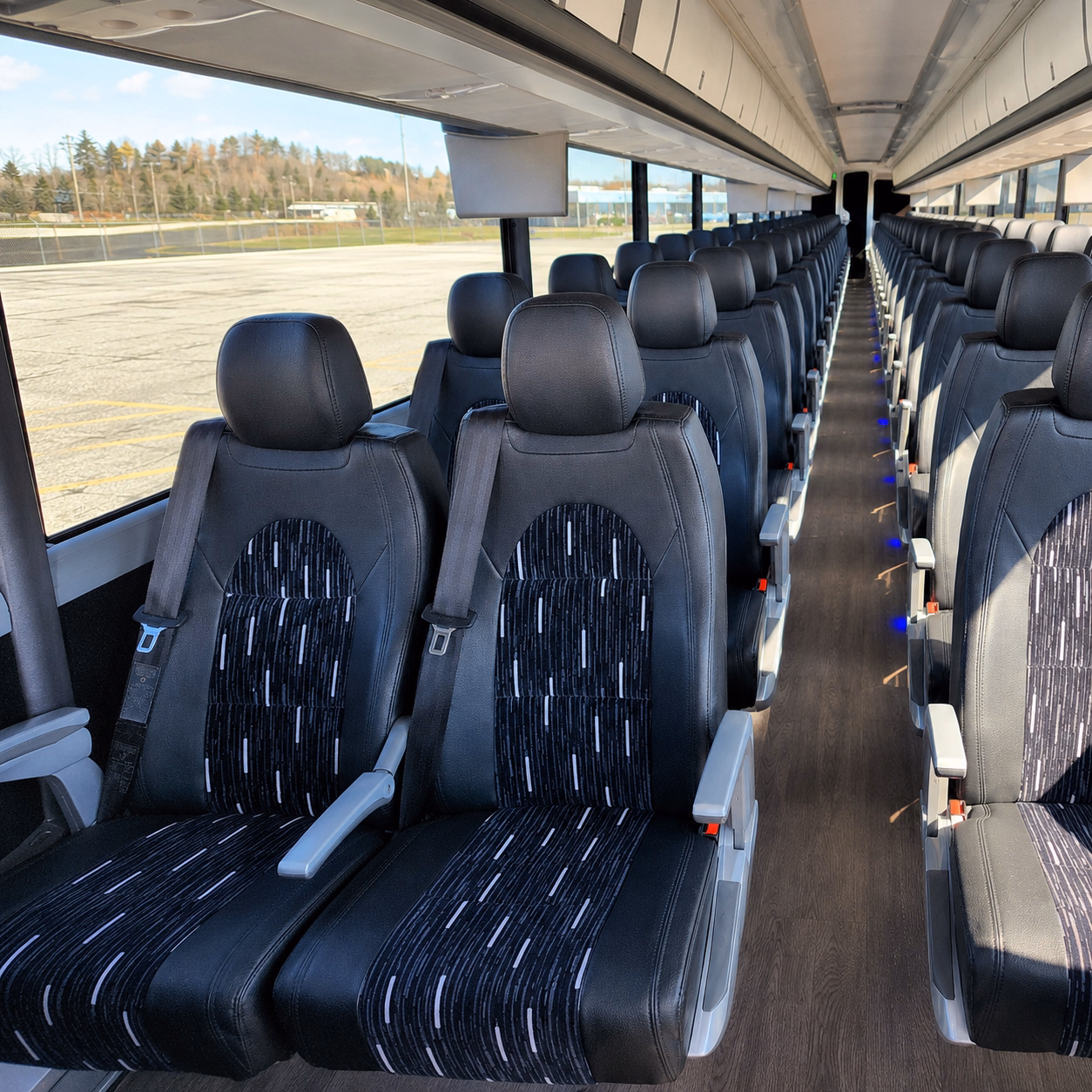 school buses for audubon zoo and aquarium field trips